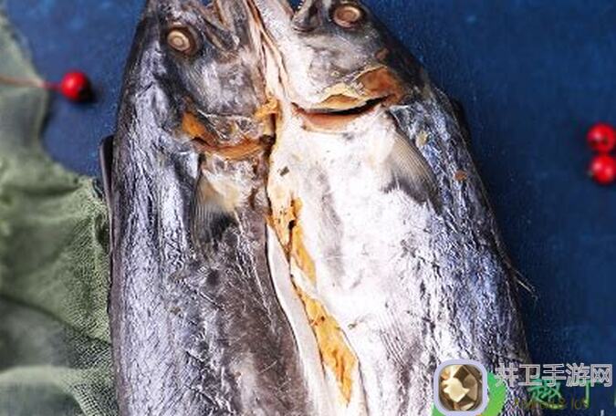 咸鱼之王新手必看攻略 爬塔PVPoron阵搭配速成秘籍