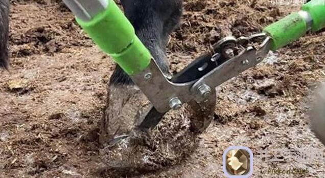 修仙家族模拟器7.07.0+6.29版本飞升剧情详解：带你揭秘飞升之路的细节到底！